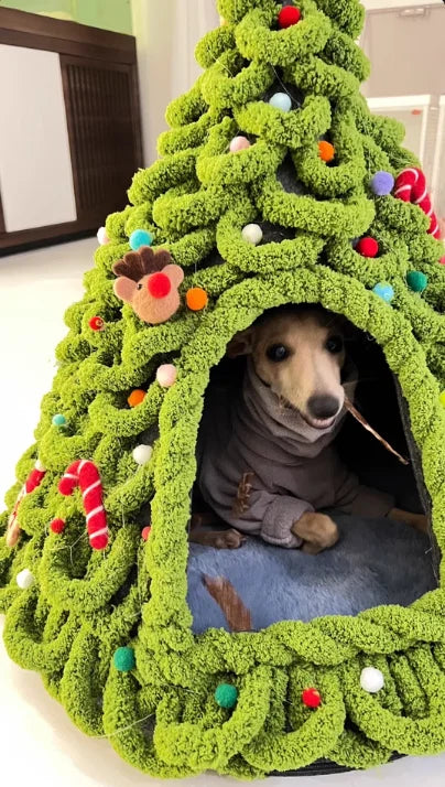 Purrfect Yuletide Nest