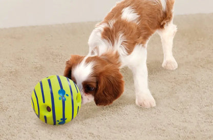 Dog Ball Save Home